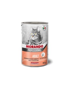 Morando Professional Gatto bocconcini di Salmone e...