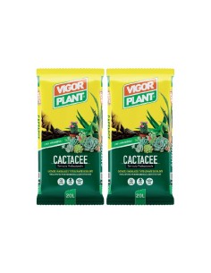Vigorplant Terriccio per piante Cactacee 20 lt (2 pz)