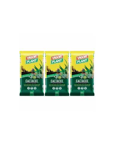 Vigorplant Terriccio per piante Cactacee 20 lt...
