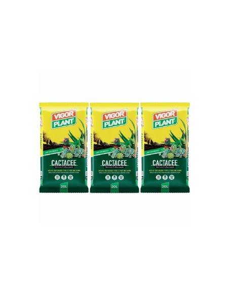 Vigorplant Terriccio per piante Cactacee 20 lt (3 pz)