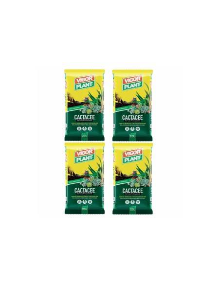 Vigorplant Terriccio per piante Cactacee 20 lt (4 pz)