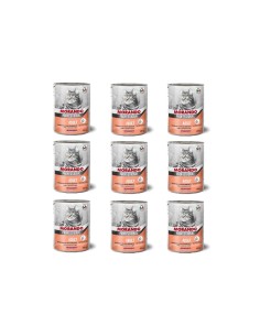 Morando Professional Gatto bocconcini di Salmone e...