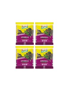 Vigorplant Argilla espansa per piante 10 lt (4 pz)