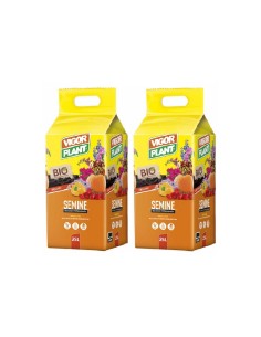 Vigorplant terriccio per Semine e trapianti 25 lt (2 pz)