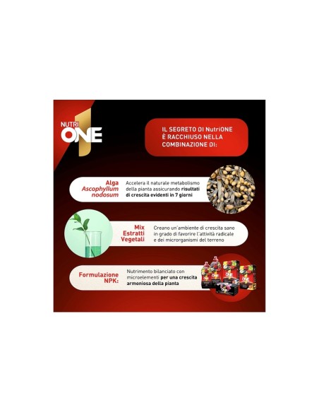 Valagro concime universale piante e fiori Nutri-One 1 lt