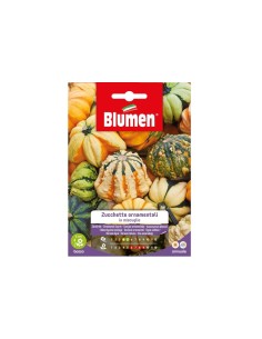 Blumen semi Zucchette Ornamentali in miscuglio