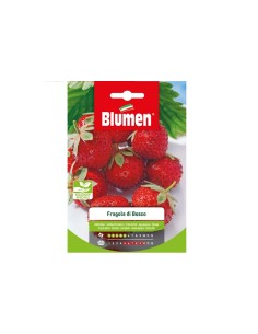 Blumen semi Fragolina di Bosco