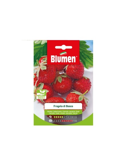 Blumen semi Fragolina di Bosco