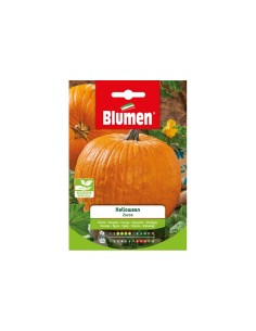 Blumen semi Zucca di Halloween
