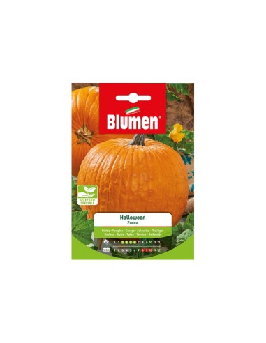 Blumen semi Zucca di Halloween