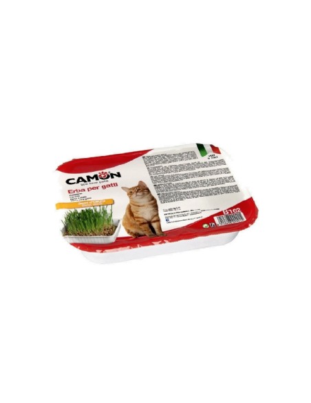 Camon erba gatto in vaschetta con semi di Orzo 130 gr