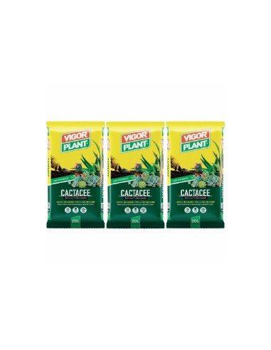 Vigorplant Terriccio per piante Cactacee 20 lt...