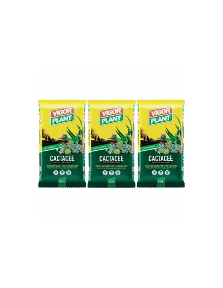 Vigorplant Terriccio per piante Cactacee 20 lt (3 pz)