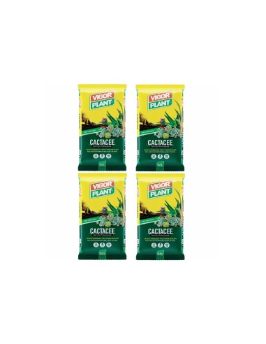Vigorplant Terriccio per piante Cactacee 20 lt...