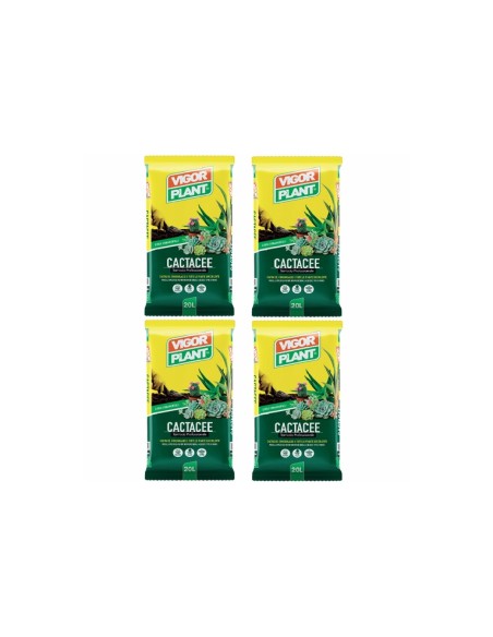 Vigorplant Terriccio per piante Cactacee 20 lt (4 pz)
