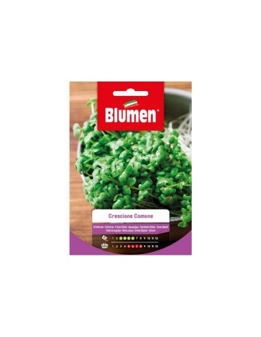 Blumen semi Crescione Comune