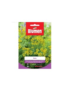 Blumen semi Ruta