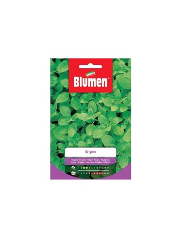 Blumen semi Origano