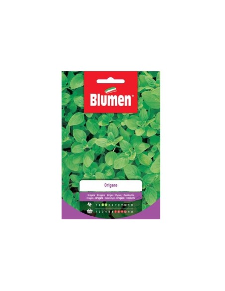 Blumen semi Origano