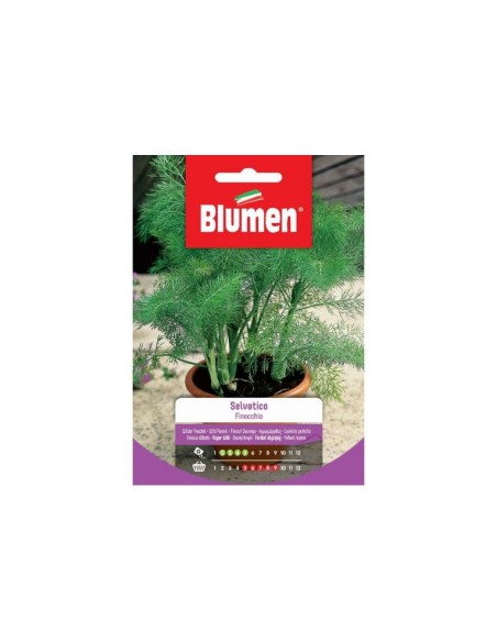 Blumen semi Finocchio Selvatico