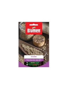 Blumen semi Coriandolo