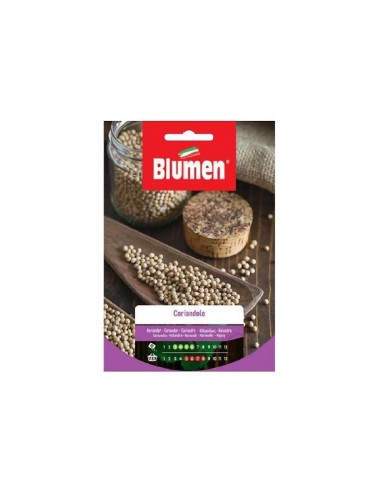 Blumen semi Coriandolo