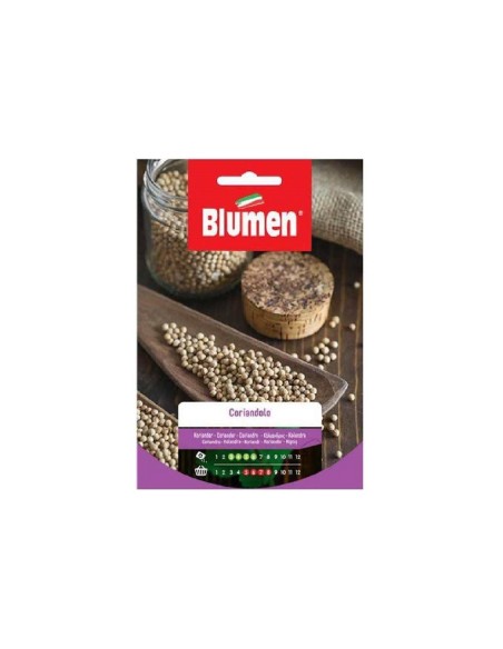 Blumen semi Coriandolo