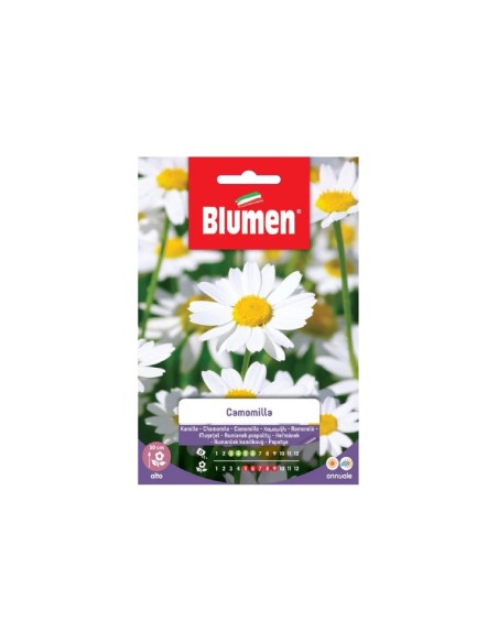 Blumen semi Cammomilla Matricharia Chamo