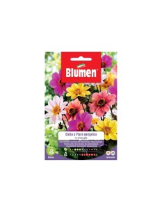 Blumen semi Dalia Semplice in miscuglio