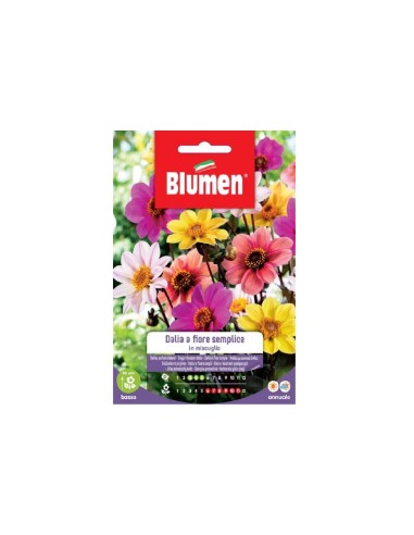 Blumen semi Dalia Semplice in miscuglio