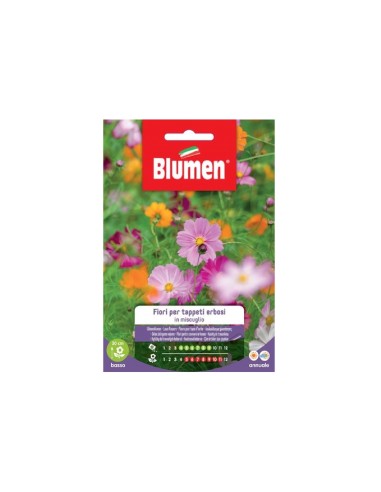 Blumen semi Fiori Tappeti Erbosi in miscuglio