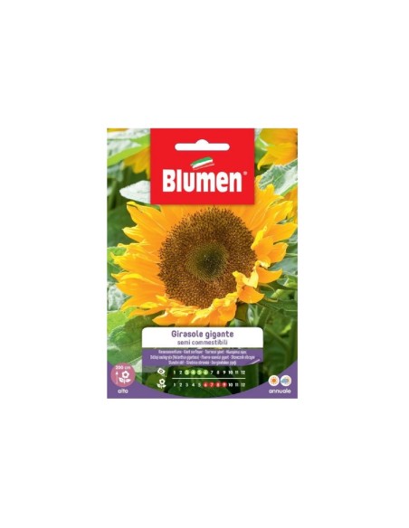 Blumen semi edibili Girasole Gigante