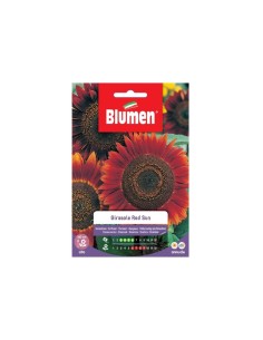 Blumen semi Girasole Red Sun