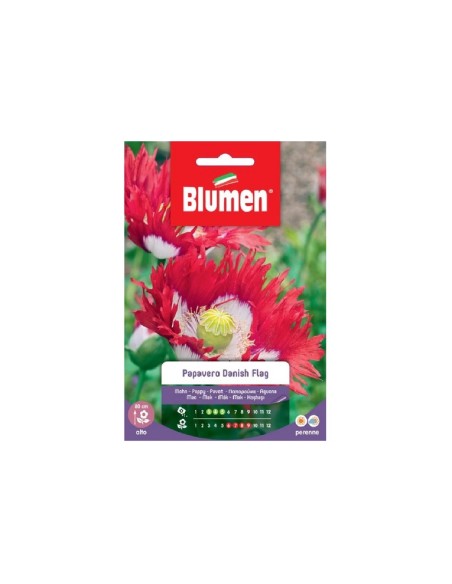 Blumen semi Papavero Danish Flag