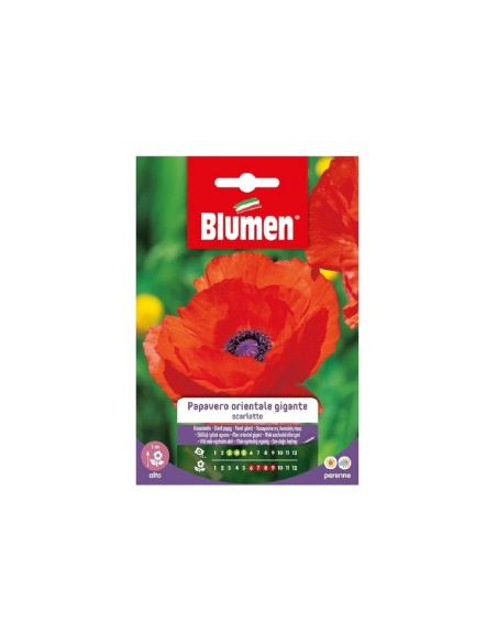 Blumen semi Papavero Orientale Gigante Scarlatto