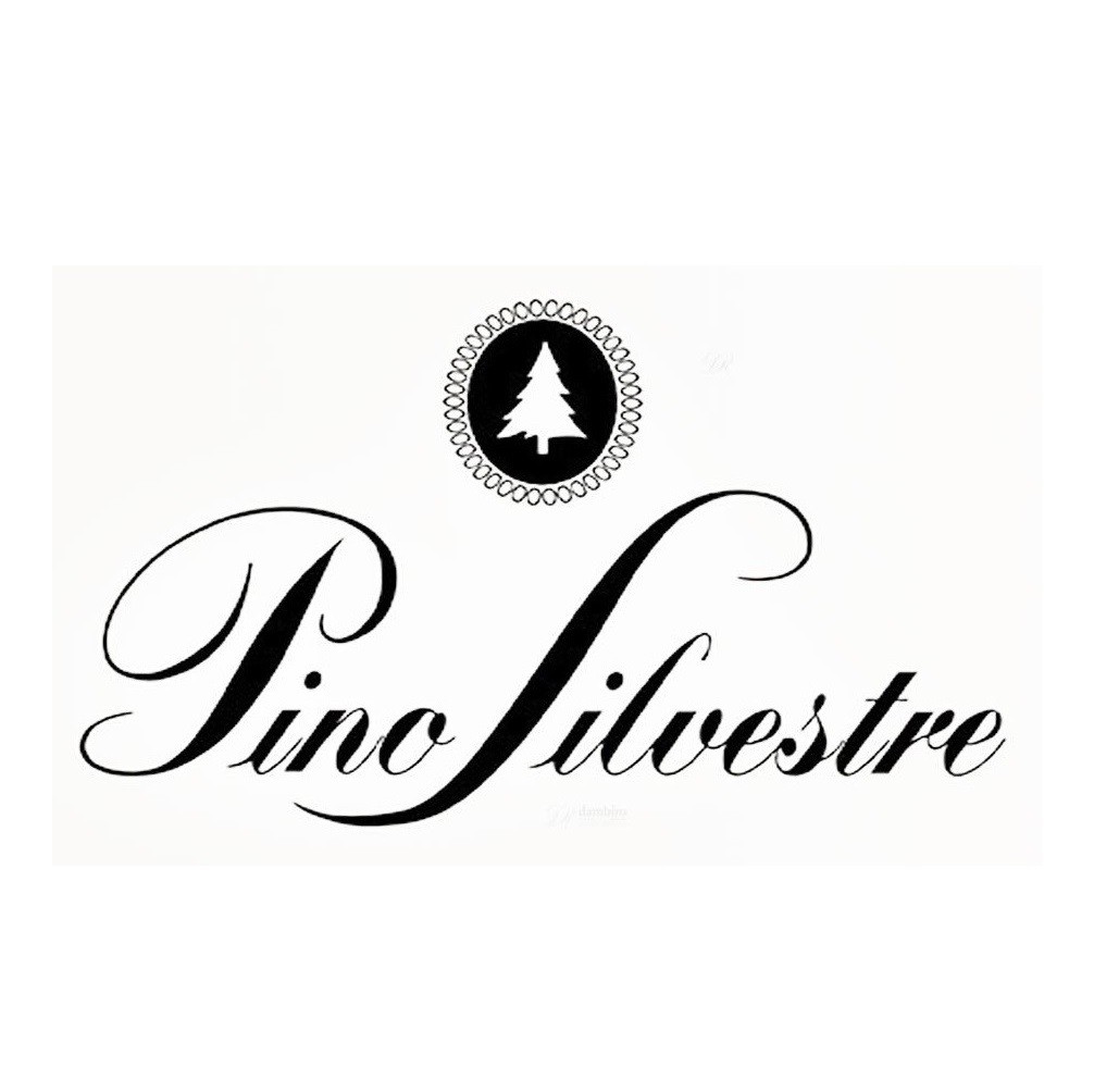 Pino Silvestre